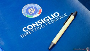 fgi assemblea elettiva sfe04578 copia simone ferraro ph